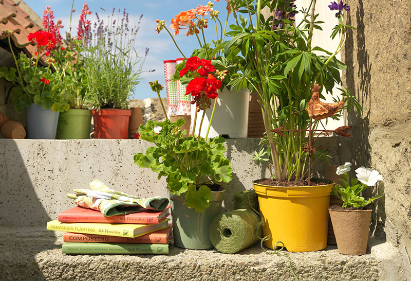 How to Paint Garden Pots and Planters