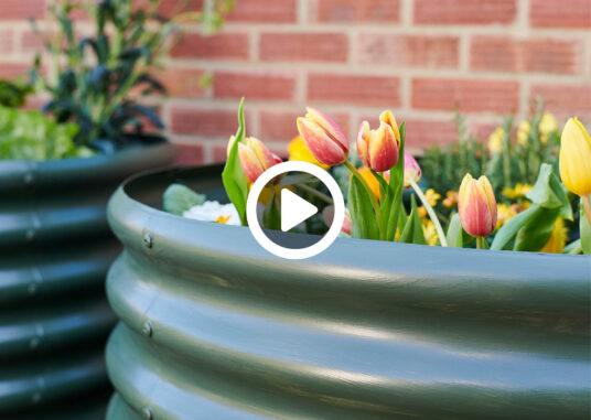 A close up image of two metal planters painted Chrome Green and filled with tulips.
